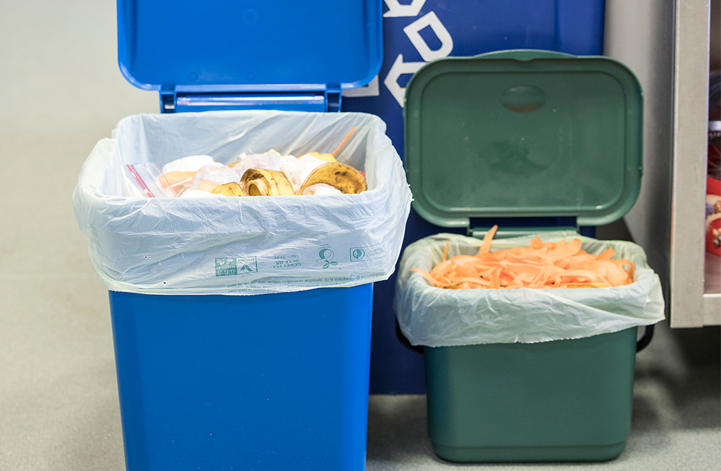 Different size food caddies with differ sized compostable liner capturing their waste - liners available form Cromwell polythene