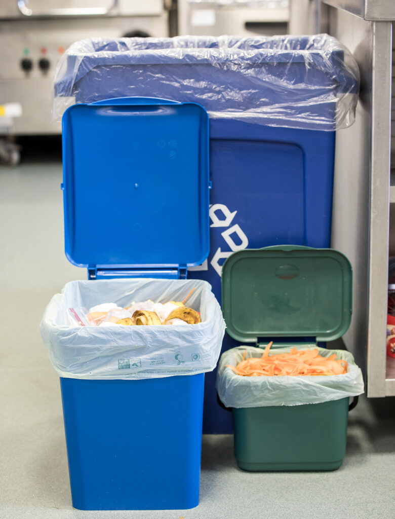 Different sized compostable liners in food caddies