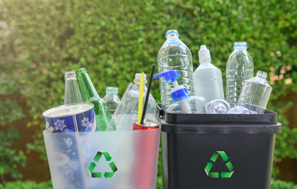 Segregate your waste and recycling to prevent cross contamination - Cromwell