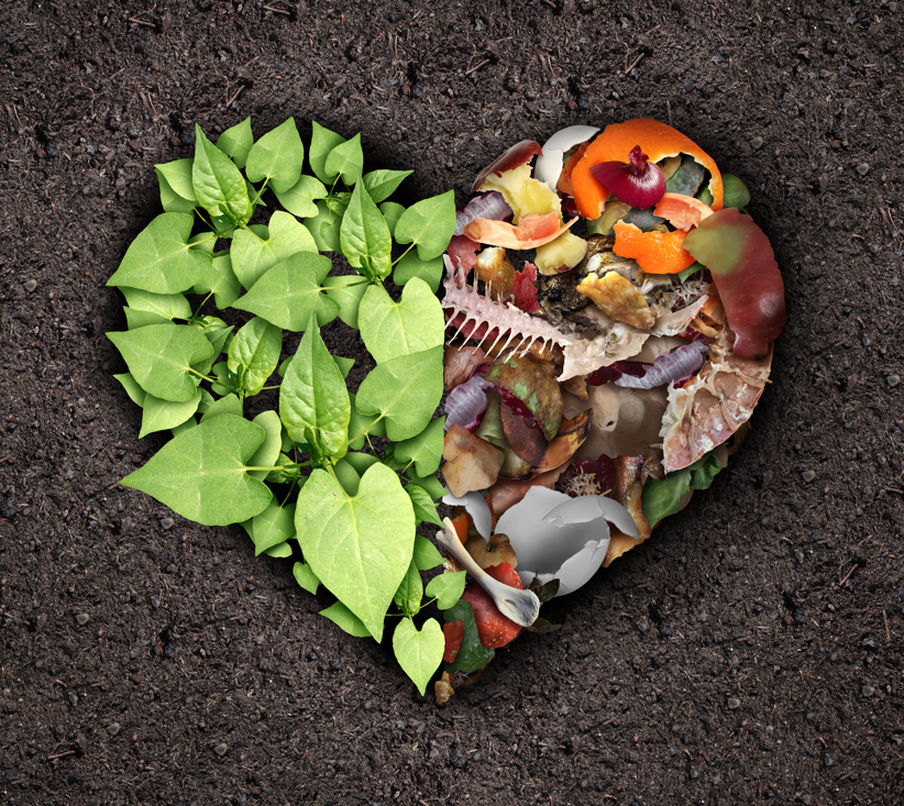 Compost Week 2022 - Food and Garden Waste Recycling