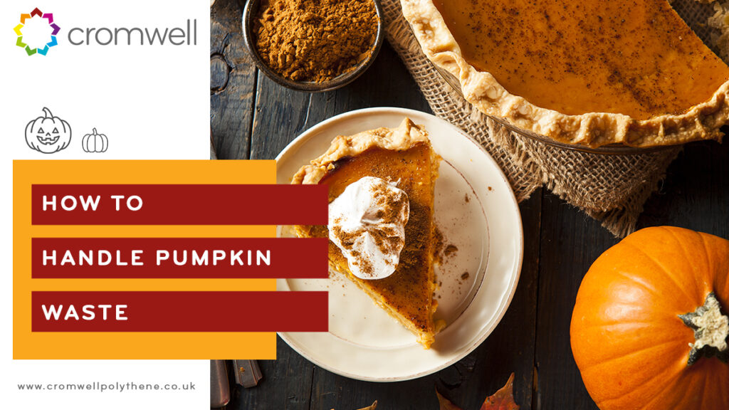 How to handle pumpkin waste this Halloween - 01977 686868