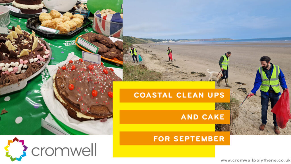 September's event - coastal clean ups and cake for charity - 01977 686868
