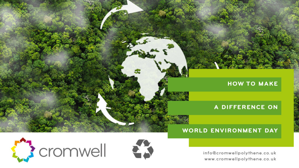 Cromwell share different ways that you can make a difference on World Environment Day